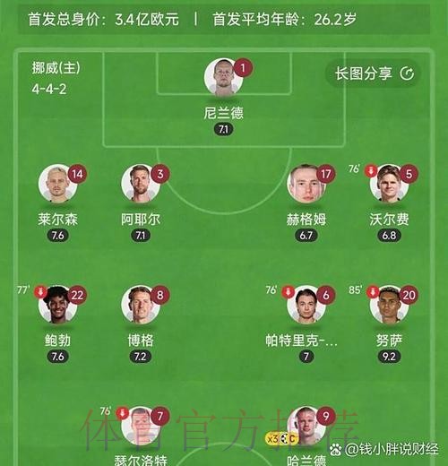 世界杯荷兰哈兰德比赛解读全面分析 世界杯荷兰哈兰德比赛解读全面分析